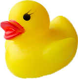 Rubber duck